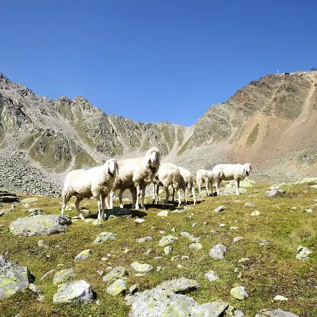 Rosi - Soe302 Appartamento Sölden