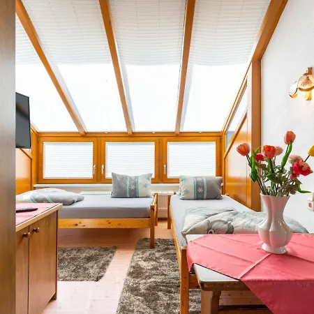 Rosi - Soe302 By Interhome Apartment *